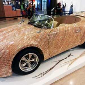 草本汽車