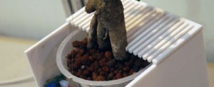 互動(dòng)植物