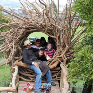 人居鳥巢