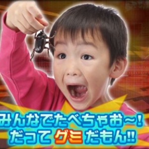昆蟲制糖模具