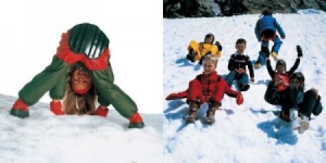 雪橇短褲