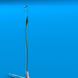 豆芽簽字筆